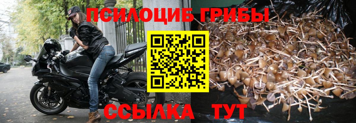 Псилоцибиновые грибы ЛСД  Псилоцибиновые грибы мицелий  Камышин  Вход с VPN 